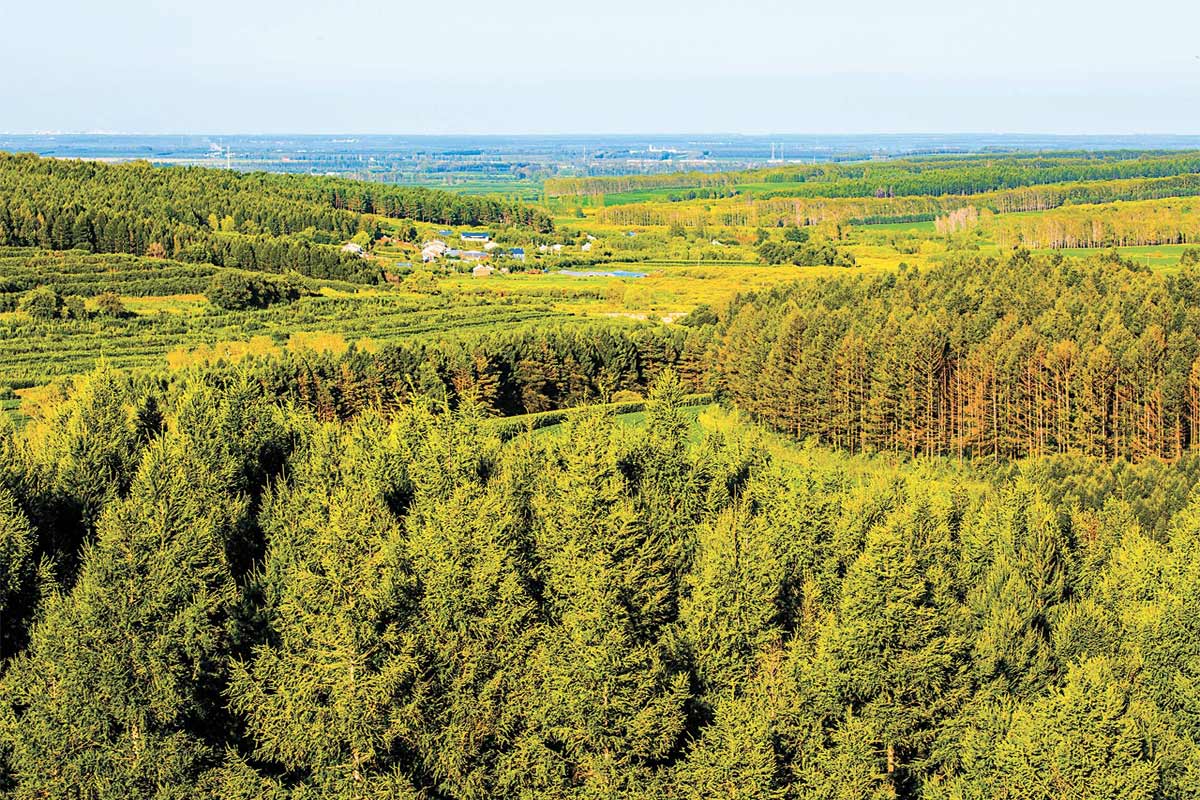 服務(wù)項(xiàng)目